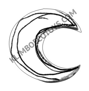 1-BW 11 copy